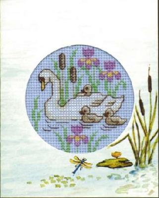 Swans
<p>I love swans and I loved this project.&nbsp; I believe it was stitched on 14 or perhaps 18 count blue Aida.&nbsp; The card itself was provided with the kit.</p>
Keywords: cross stitch