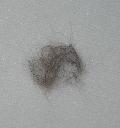 Filename=1299569600kittyfur.jpg
Filesize=116KiB
Dimensions=985x1045
Date added=Mar 08, 2011 1299569600kittyfur.jpg