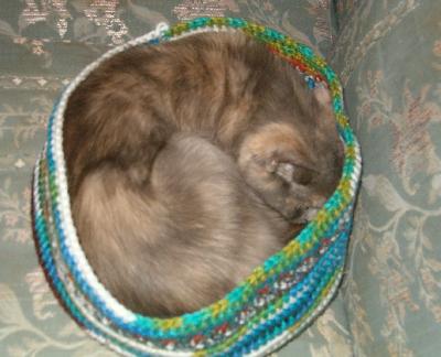 Kitty Bed-1
<p>Not too big, not too small. Just right.</p>
