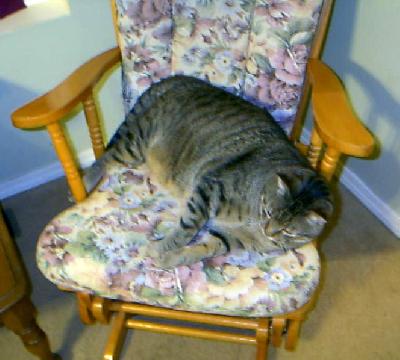 More of Prince on his throne
<p>Yes, he really does take up that much room on a chair.</p>
