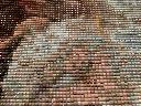 1566219408img_0630.jpg