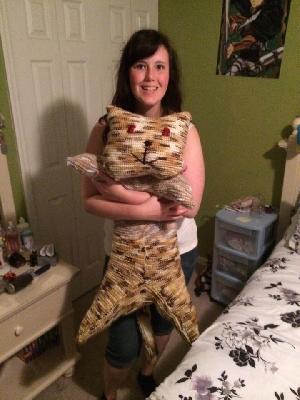 4x cat compared to me
