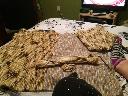 Filename=1408034650cat6.jpg
Filesize=113KiB
Dimensions=960x720
Date added=Aug 14, 2014 1408034650cat6.jpg