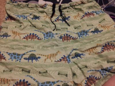 Dino Pajama Bottoms
Keywords: sewing