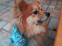 Filename=1361765936knit 054.jpg
Filesize=209KiB
Dimensions=1000x750
Date added=Feb 24, 2013 1361765936knit 054.jpg