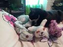 Filename=13847402396.jpeg
Filesize=44KiB
Dimensions=800x600
Date added=Nov 17, 2013 13847402396.jpeg
