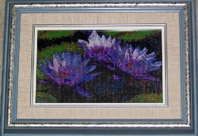 Purple Water Lilies
