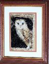 Filename=1477515117barn owl.jpg
Filesize=259KiB
Dimensions=773x1000
Date added=Oct 26, 2016 1477515117barn owl.jpg