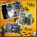 1401072321pets.jpg