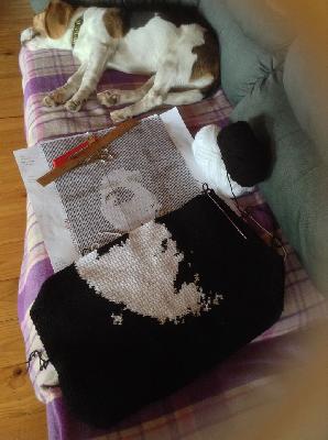 Progress of Graph crochet

