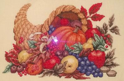Cornucopia, 2014
