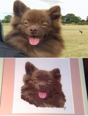 Asbo
<p>a cross stitch made for a friend who lost her young dog so suddenly it broke all our hearts</p>
