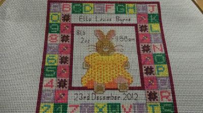 Birth Sampler
