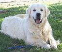 Filename=1447504995rocky.jpg
Filesize=27KiB
Dimensions=324x275
Date added=Nov 14, 2015 1447504995rocky.jpg