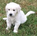 1447504997rocky2.jpg