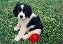 1447505002lucky.jpg