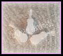 Filename=1449687640suela soft baby.jpg
Filesize=313KiB
Dimensions=1272x1142
Date added=Dec 09, 2015 1449687640suela soft baby.jpg