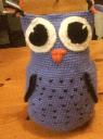 1466289238owl1.jpg