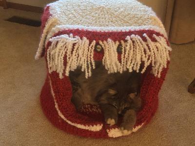 Shaggy Dog Cat House
<p>I made this from a pattern that was not large enough for cats or a dog. I actually used two strands of Homestyle yarn and made it in the round and the sides much larger than the pattern. I then cut foam all the way around, and used foam on the top. I put foam on the bottom and made a round piece for the bottom to fit. I sewed (with yarn) through the foam on the sides (tucked inside) so it would hold together.</p>
Keywords: cats