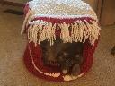 Filename=1529888437mittensshaggydogcathouse.jpg
Filesize=475KiB
Dimensions=2448x1836
Date added=Jun 24, 2018 1529888437mittensshaggydogcathouse.jpg