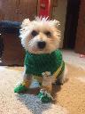 Filename=1529888439cassiesweaterbooties.jpg
Filesize=201KiB
Dimensions=1224x1632
Date added=Jun 24, 2018 1529888439cassiesweaterbooties.jpg