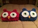 Filename=1529890139hoodedowlblankets.jpg
Filesize=189KiB
Dimensions=1632x1224
Date added=Jun 24, 2018 1529890139hoodedowlblankets.jpg