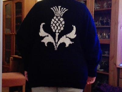 Thistle
<p>Scottish National Flower</p>
